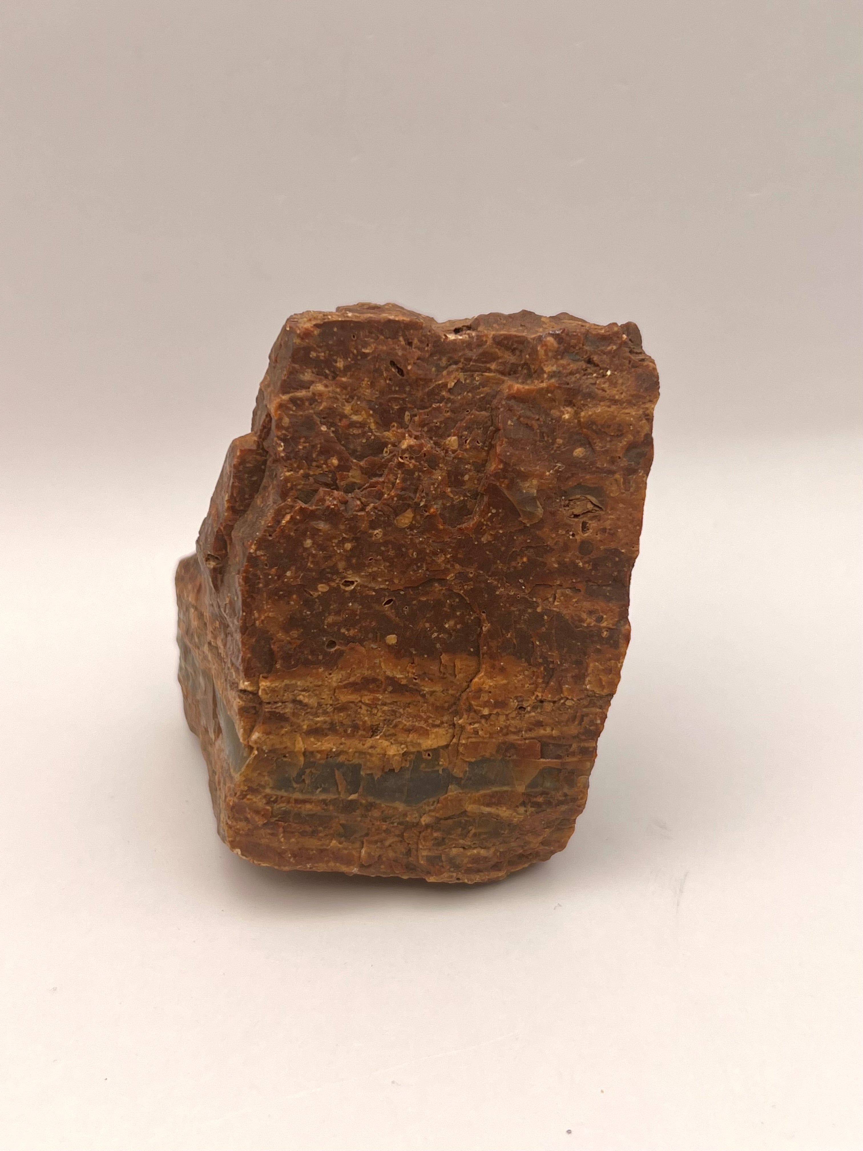 Petrified Wood from Concho Arizona H - Earthly Secrets