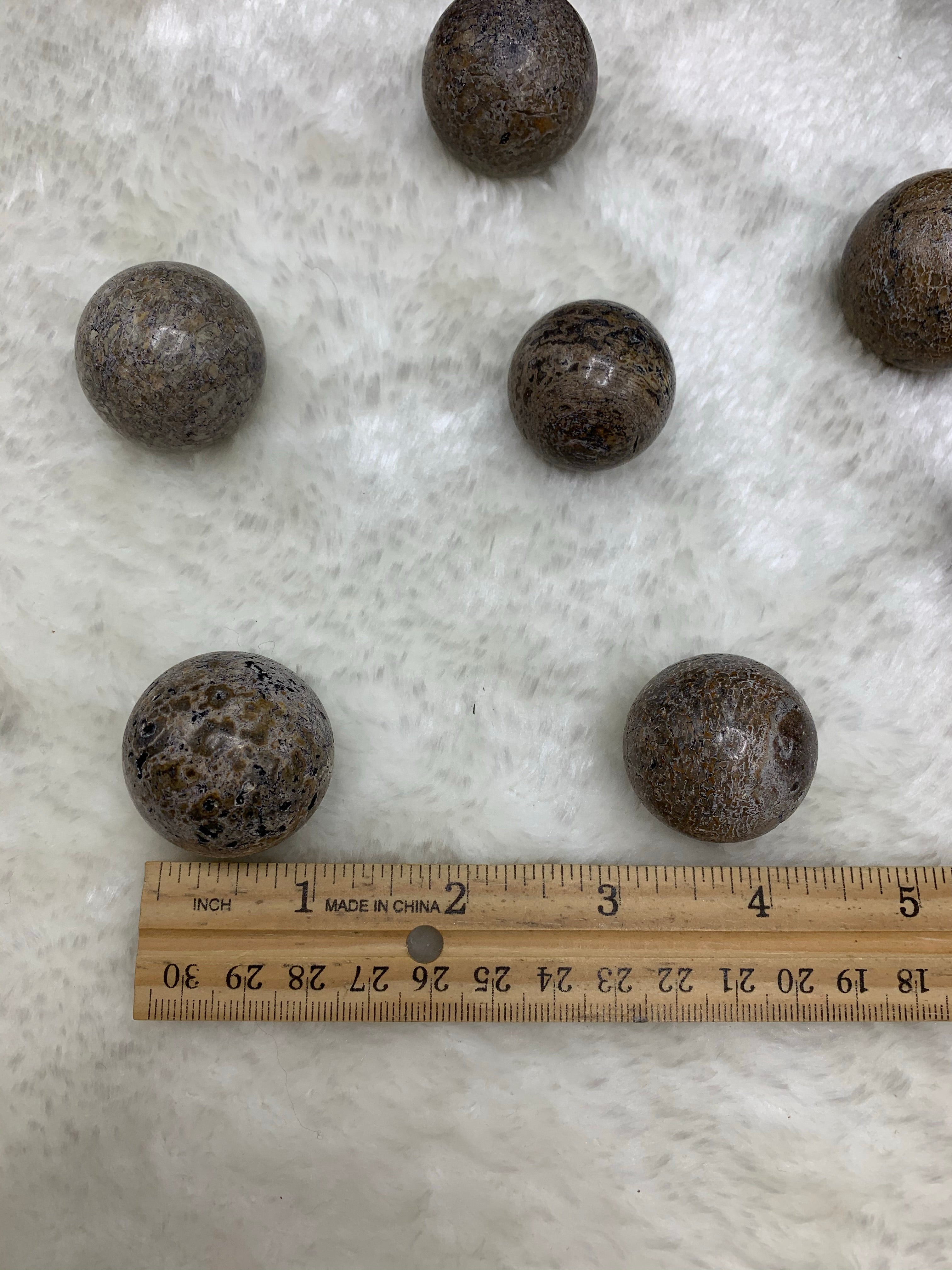 Dinosaur Fossil Balls (Intuitively Selected) - Earthly Secrets