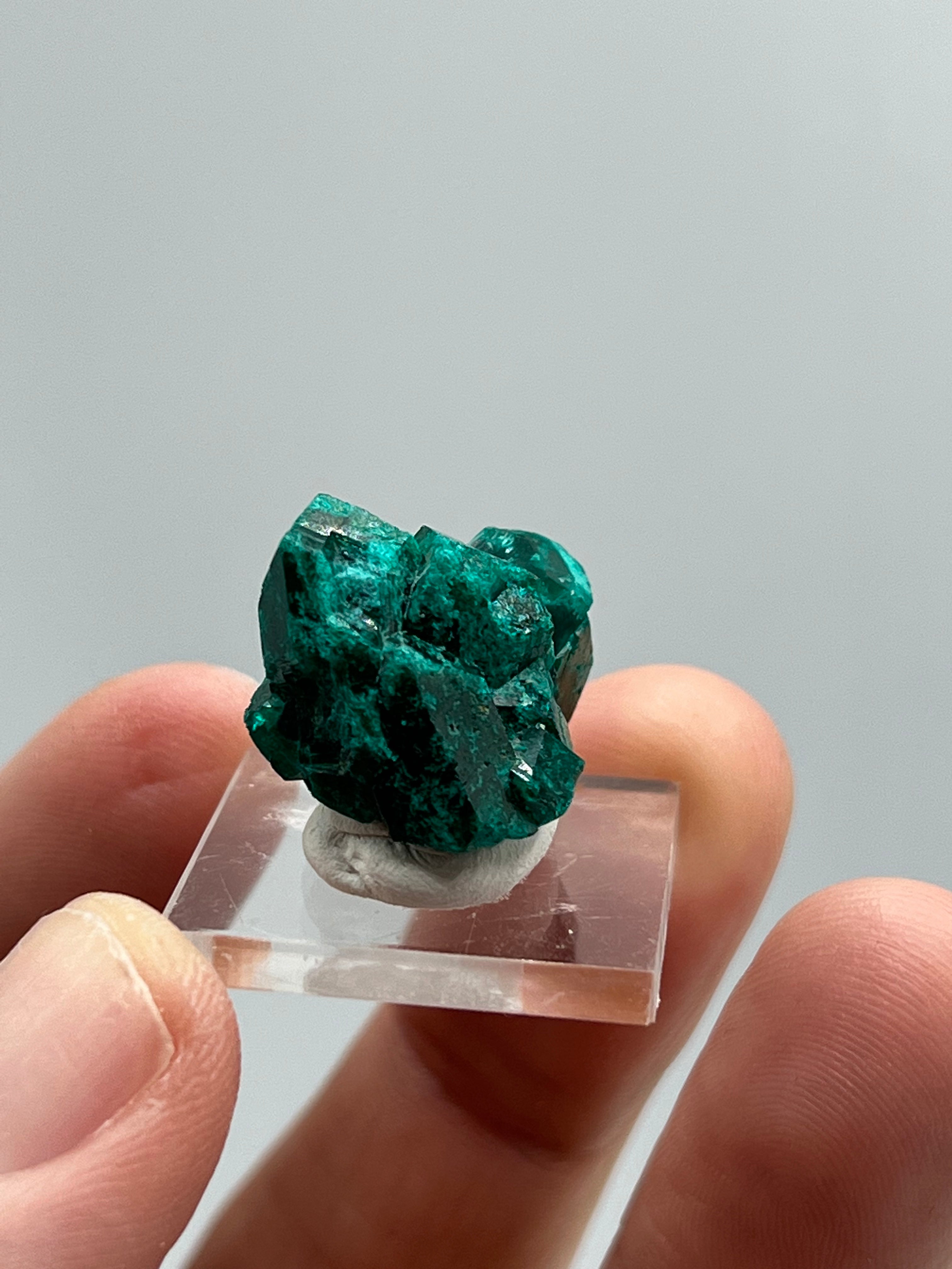 Dioptase C - Earthly Secrets